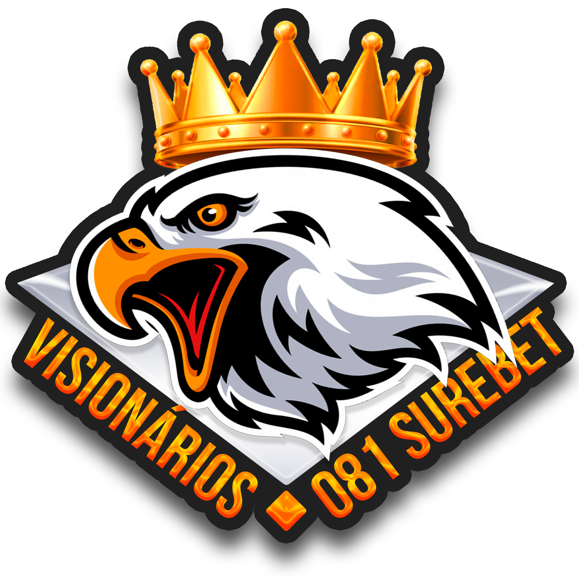 VS081